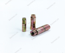 Single expansion anchor