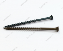 Bugle head ,torx. T17