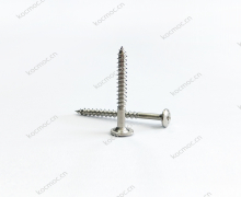 Stainless steel round head tapping screw