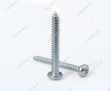 Self tapping screws, pan head.